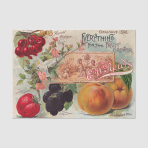 Vintage-Katalog von Reid 1896 Druck Seidenpapier