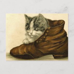 vintage Kätzchen in Schuh Postkarte