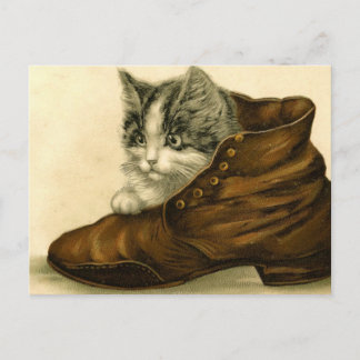 vintage Kätzchen in Schuh Postkarte