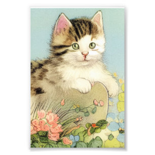 Vintage Katze-Illustration mit rosa Blume Fotodruck