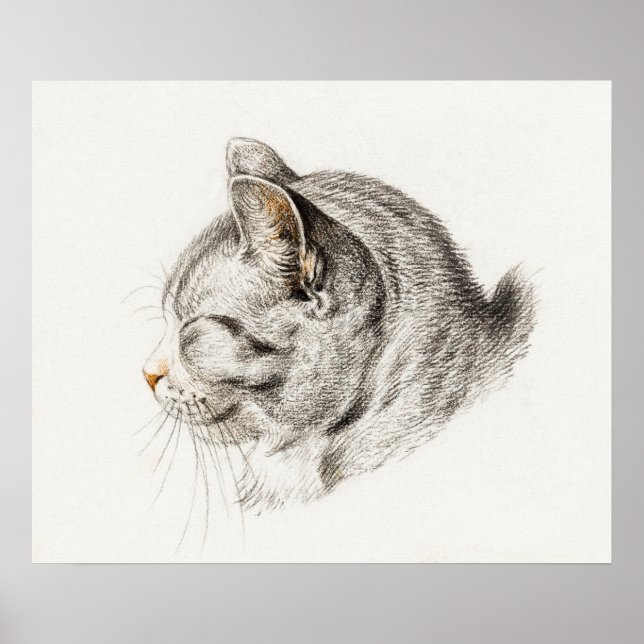 Vintage Katze-Illustration Poster (Vorne)