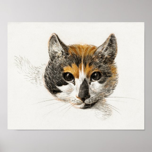 Vintage Katze-Illustration Poster (Vorne)