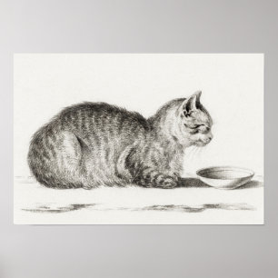 Vintage Katze-Illustration Poster