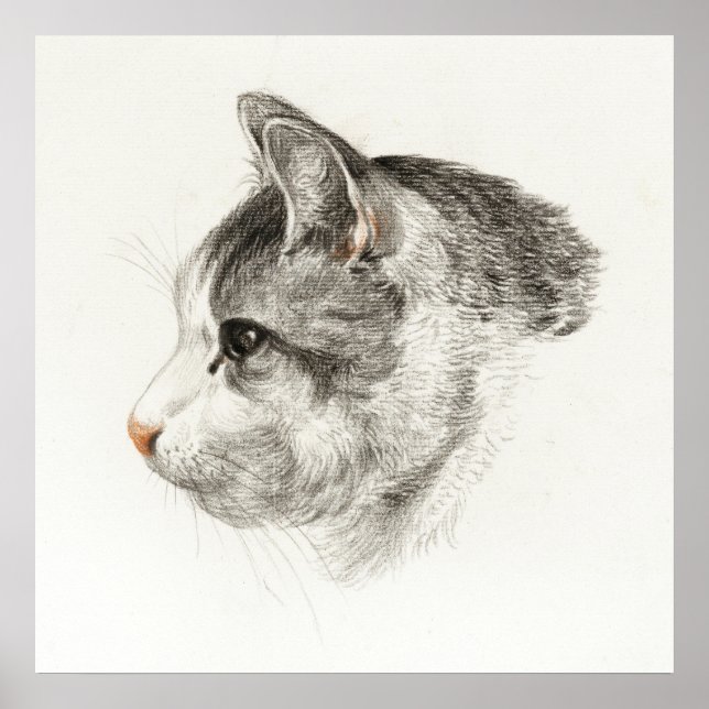 Vintage Katze-Illustration Poster (Vorne)