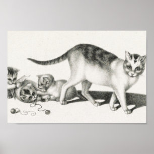 Vintage Katze-Illustration Poster