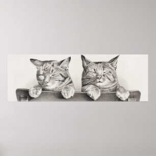 Vintage Katze-Illustration Poster