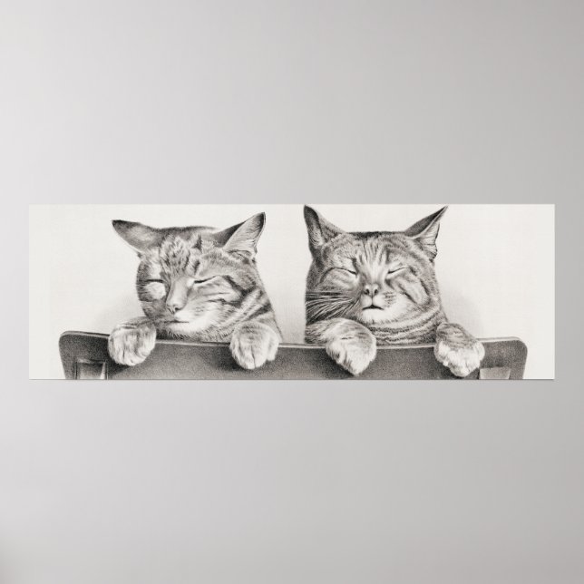 Vintage Katze-Illustration Poster (Vorne)