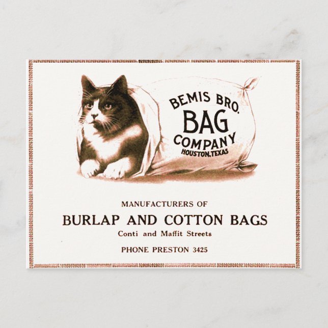 Vintage Katze im Beutel Postkarte (Vorderseite)