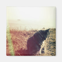 Vintage-Katze-Magnet