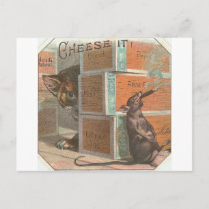 Vintage Katze mit Blick auf die Raucherratte Postkarte