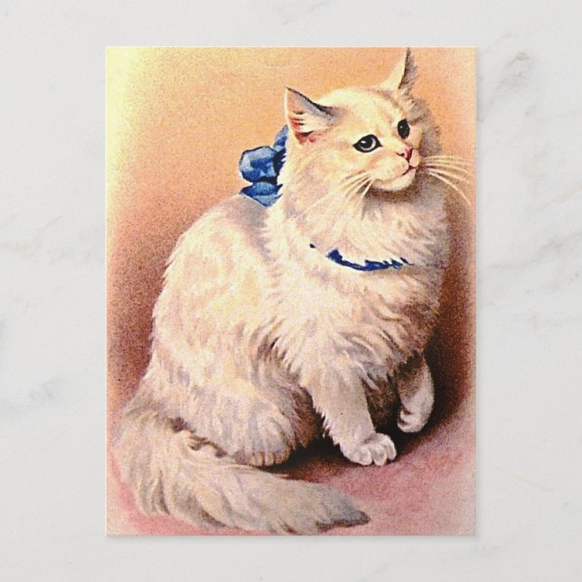 Vintage Katze mit Blue Bow Postkarte (Vorderseite)