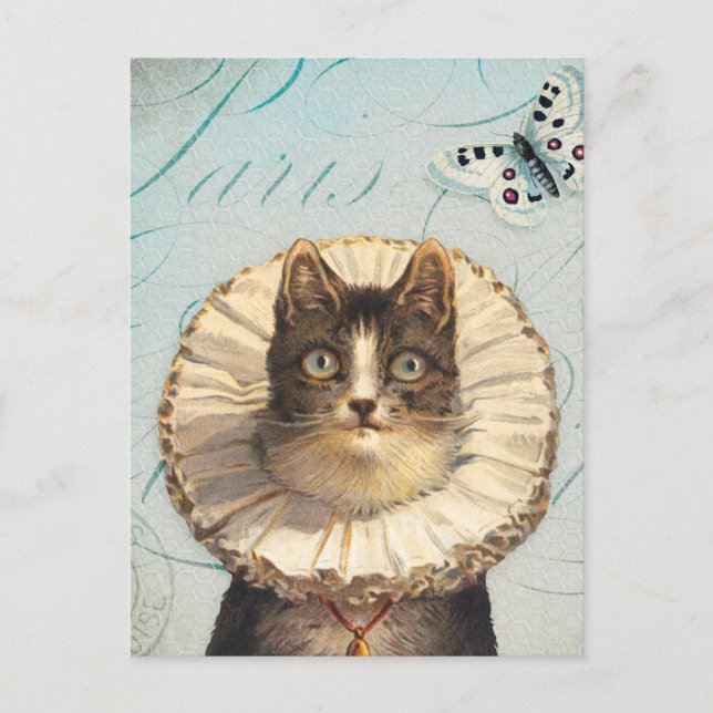 Vintage Katze mit Ruff Collar und Schmetterlingen Postkarte (Vorderseite)