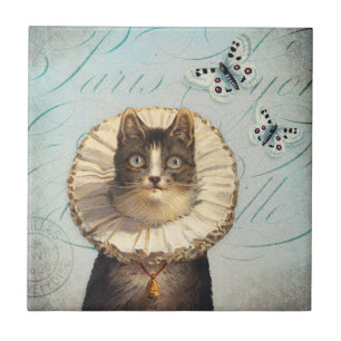 Vintage Katze mit Rüschenkragen und Schmetterlinge Fliese