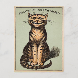 Vintage Katze Postkarte