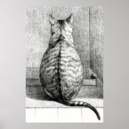 Vintage-Katze-Skizze-Kunstzeichnung Poster