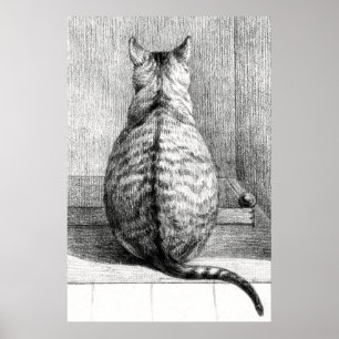 Vintage-Katze-Skizze-Kunstzeichnung Poster