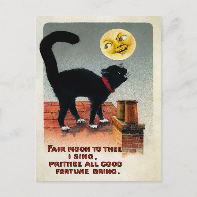 Vintage Katze und Mond Postkarte (Vorderseite)