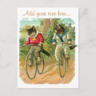 Vintage Katzen auf dem Fahrrad Postkarte