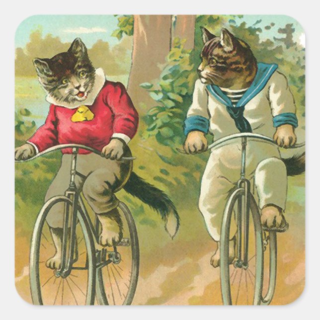 Vintage Katzen auf dem Fahrrad Quadratischer Aufkleber (Vorderseite)