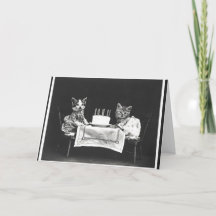 Vintage Katzen auf einer Geburtstagsfeier