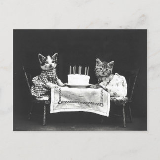 Vintage Katzen auf einer Geburtstagsfeier Postkarte