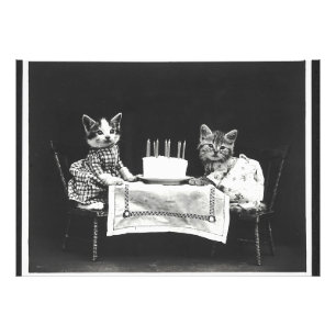 Vintage Katzen auf einer Geburtstagsparty Fotodruck