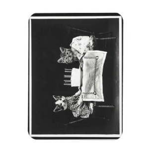 Vintage Katzen auf einer Geburtstagsparty Magnet