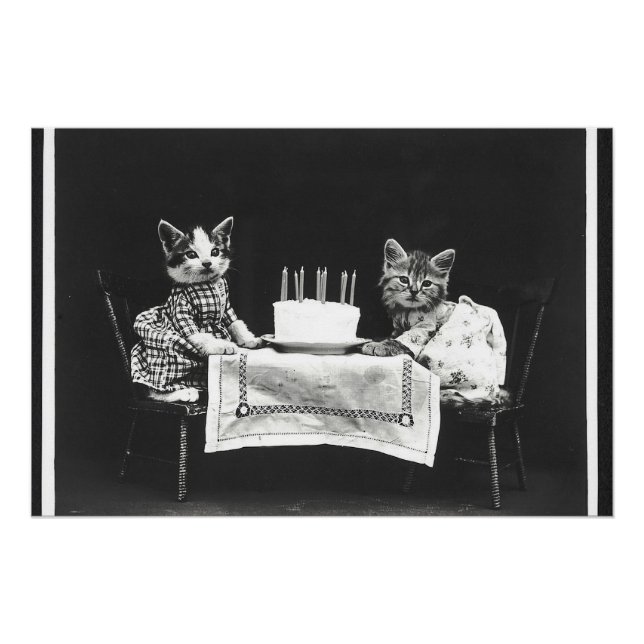 Vintage Katzen auf einer Geburtstagsparty Poster (Vorderseite)