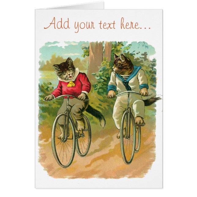 Vintage Katzen auf Fahrrad (Vorne)