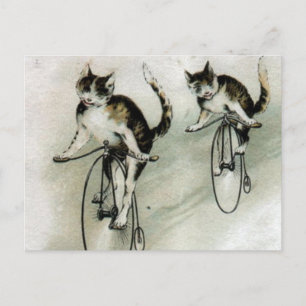 Vintage Katzen auf Rädern Postkarte