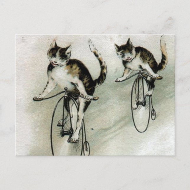 Vintage Katzen auf Rädern Postkarte (Vorderseite)