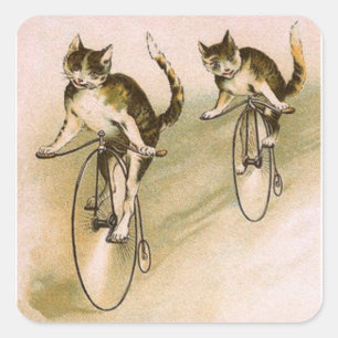 Vintage Katzen auf Rädern Quadratischer Aufkleber