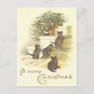 Vintage Katzen auf Treppen Frohe Weihnachtskarte Feiertagspostkarte