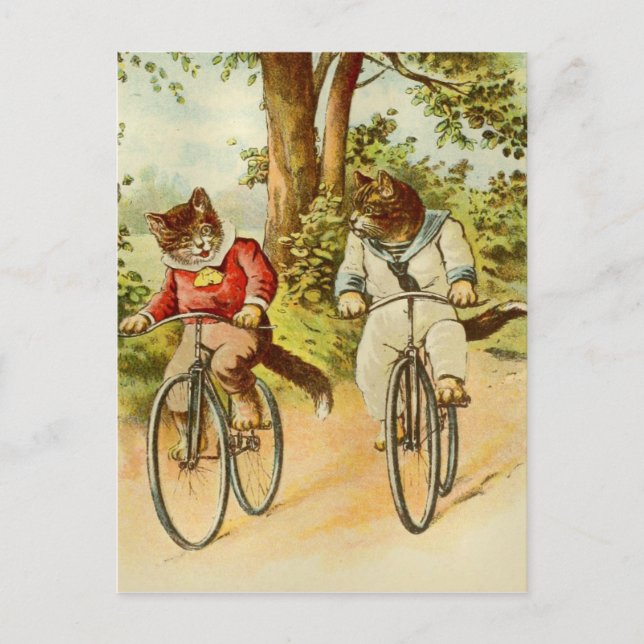 Vintage Katzen Fahrradfahren Illustration Postkart Postkarte (Vorderseite)