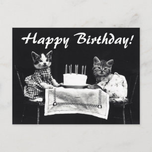Vintage Katzen Happy Birthday Postcard Postkarte