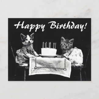 Vintage Katzen Happy Birthday Postcard Postkarte
