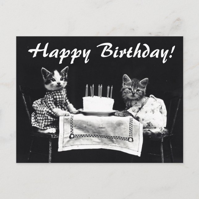Vintage Katzen Happy Birthday Postcard Postkarte (Vorderseite)