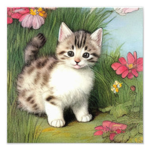 Vintage Katzen-Illustration mit roten Blume Fotodruck
