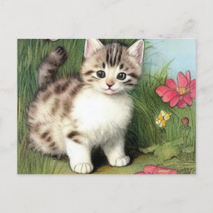 Vintage Katzen-Illustration mit roten Blume Postkarte