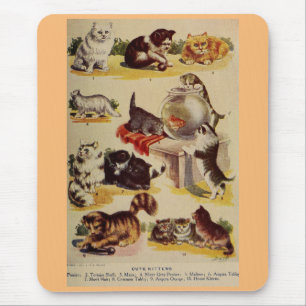 Vintage Katzen Kater Zucht Diagramm süß Mousepad