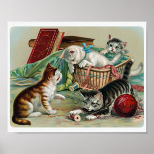 Vintage Katzen Poster