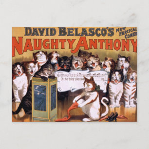 Vintage Katzen Postkarte