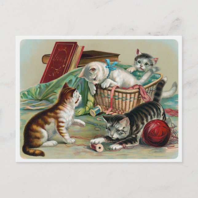 Vintage Katzen Postkarte (Vorderseite)