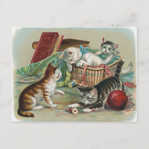 Vintage Katzen Postkarte