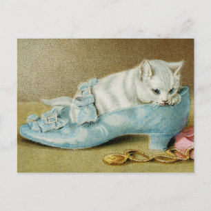 Vintage Katzen Postkarte