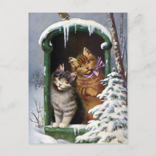 Vintage Katzen Postkarte