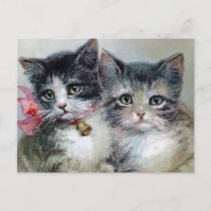 Vintage Katzen Postkarte