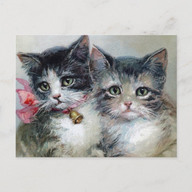 Vintage Katzen Postkarte (Vorderseite)