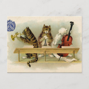 Vintage Katzen Postkarte