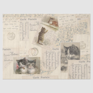 Vintage-Katzen-Postkarte Französisches Seidenpapie Seidenpapier